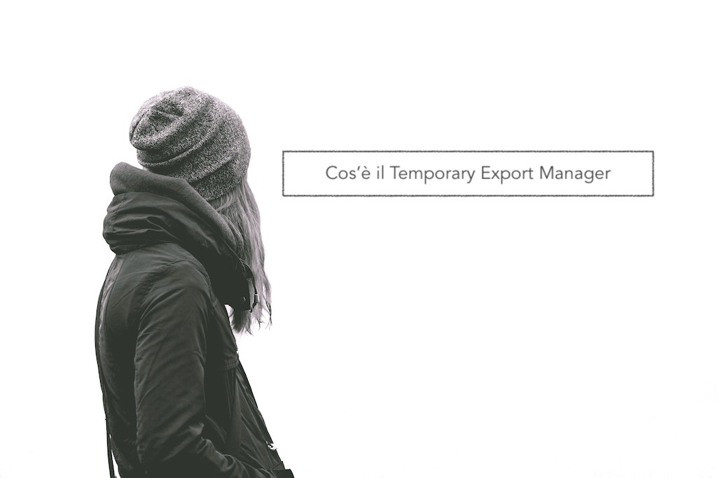 6 domande per capire cos’è il Temporary Export Manager