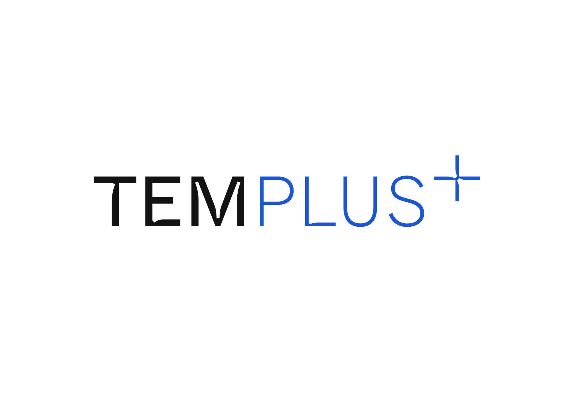 Logo TEM PLUS